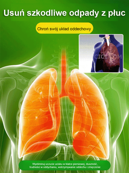 Lucky Plant Green Plants Wood【King of Lung Healing】