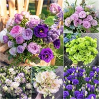 🌱12 Days Germination🔥Premium Mixed Colors Easy To Grow Thornless Rose - Lisianthus Seeds