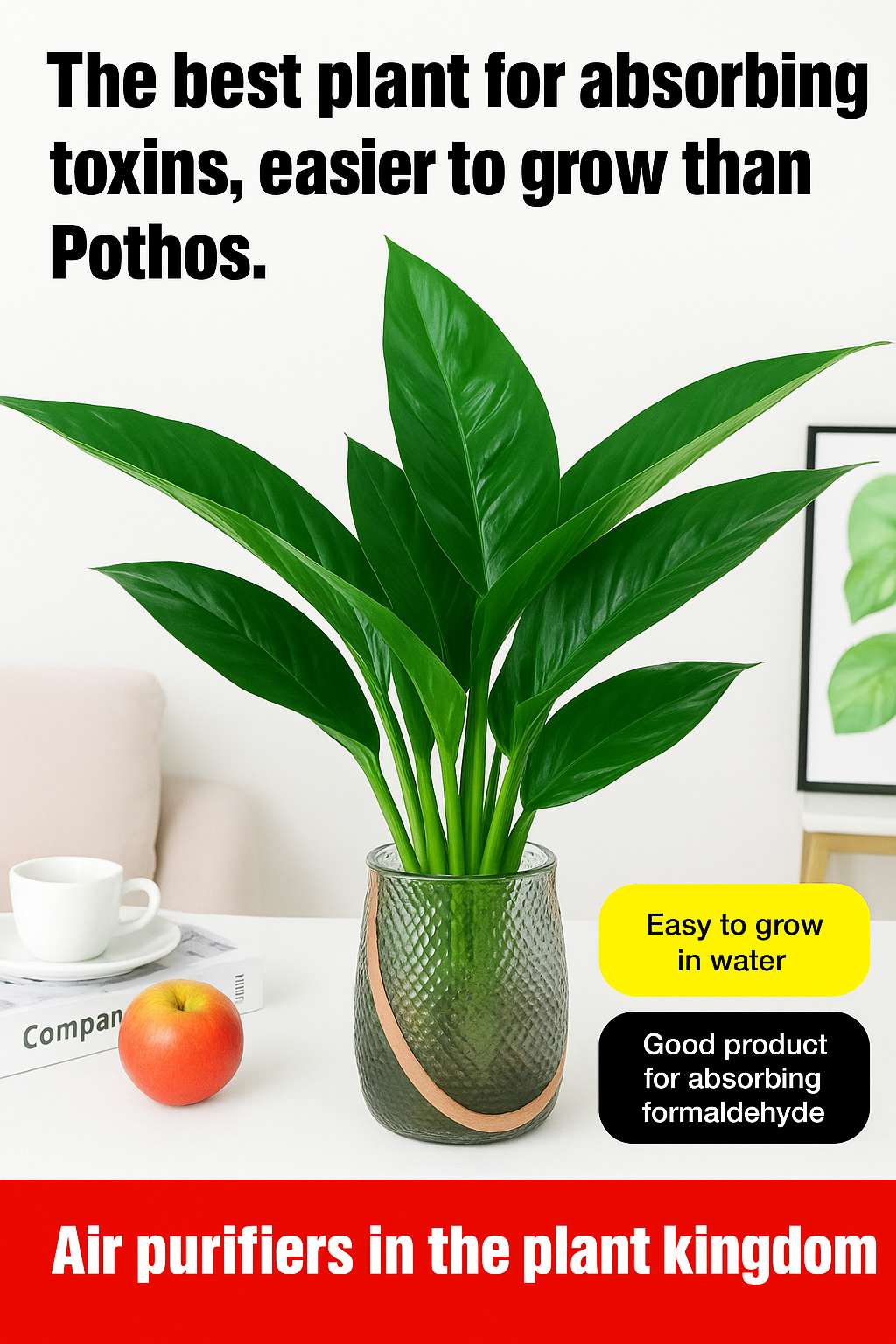 Lucky Plant Green Plants Wood【King of Lung Healing】