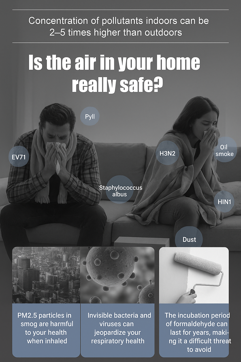 Lucky Plant Green Plants Wood【King of Lung Healing】