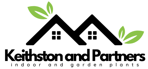 keithstonandpartners