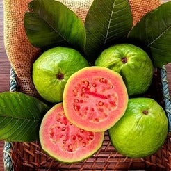 🍃 Organic Pink Guava Seeds + 🎁 Free Potting Mixture (100g)