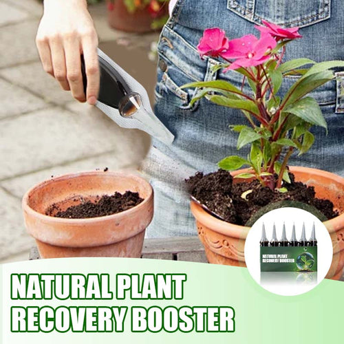 Natural Plant Recovery Booster With Essential Nutrients
