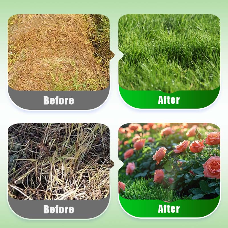 Natural Plant Recovery Booster With Essential Nutrients