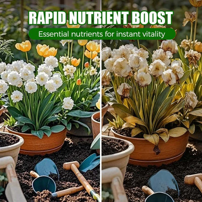 Natural Plant Recovery Booster With Essential Nutrients