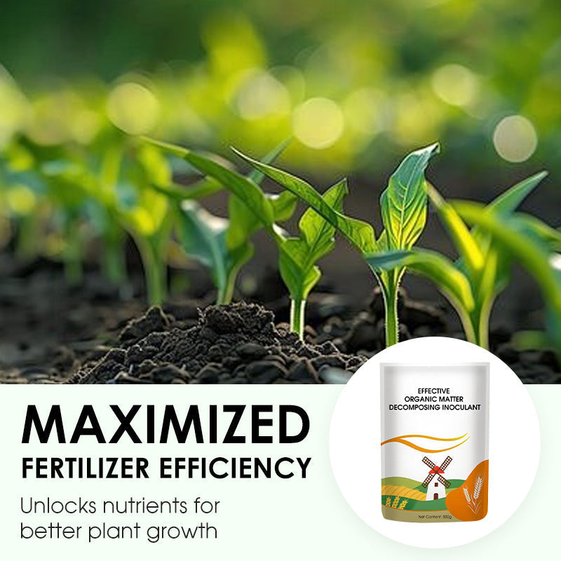 Effective Organic Matter Decomposing Inoculant